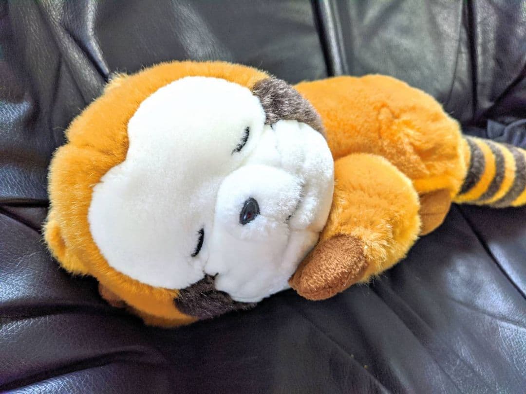 あらいぐまラスカル おやすみラスカル ぬいぐるみ セキグチ製 30周年 記念限定