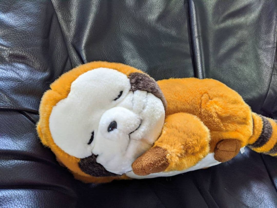 あらいぐまラスカル おやすみラスカル ぬいぐるみ セキグチ製 30周年 記念限定