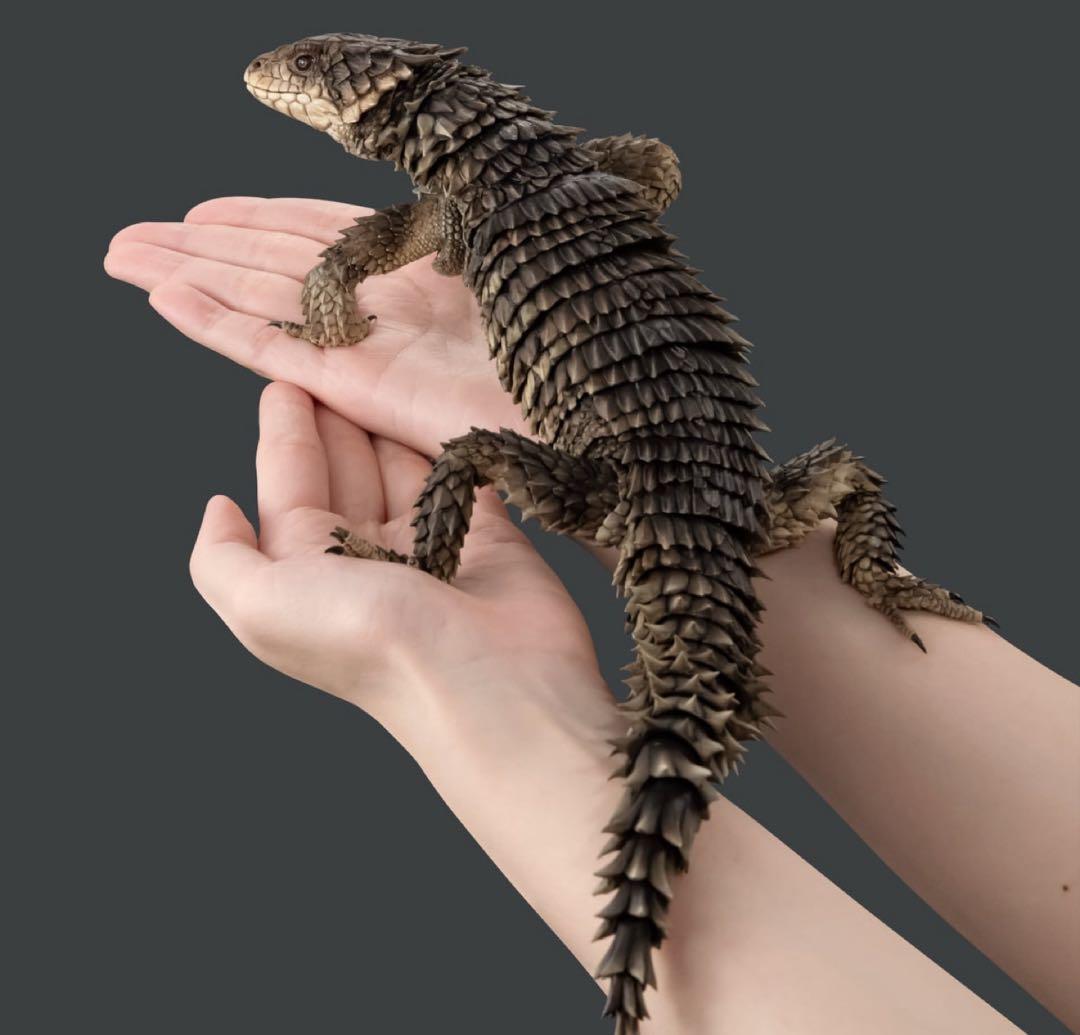 いきもの大図鑑アルティメット オオヨロイトカゲ 新品未開封 ⓵ - メルカリ