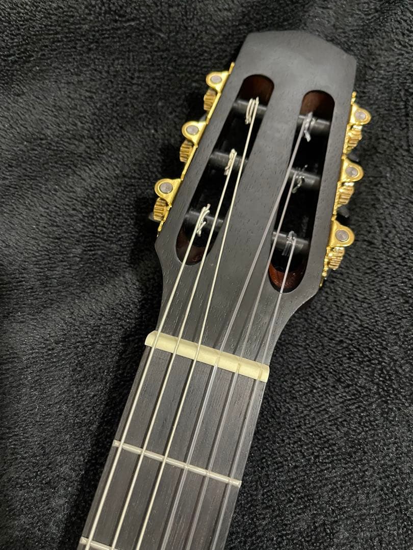 ノーブランド morris Groovin´タイプ サイレントソリッドエレガット