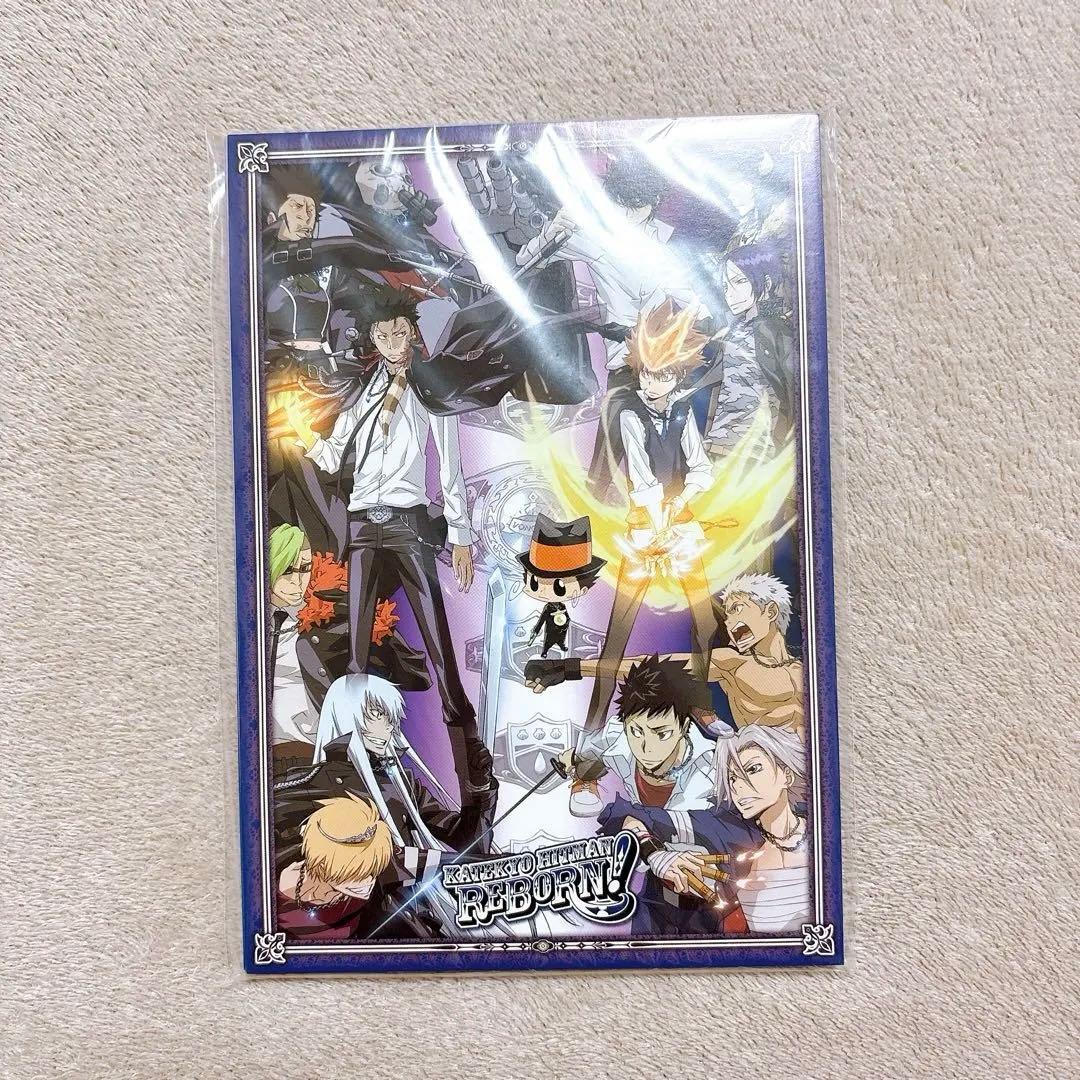 家庭教師ヒットマンREBORN! 2L ビッグポストカードセット ファイル付き