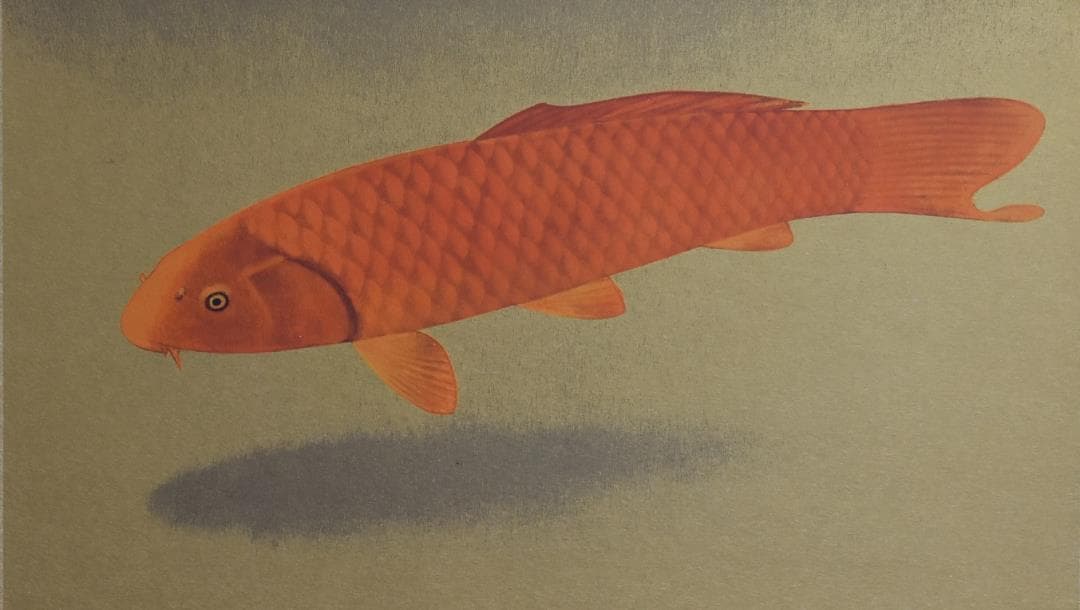 新日本画を代表する画伯、大山忠作 筆作品、文化勲章受章