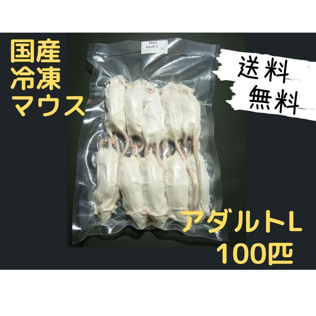 国産 冷凍マウスアダルト L 100匹 (送料無料一部地域発送不可) - メルカリ