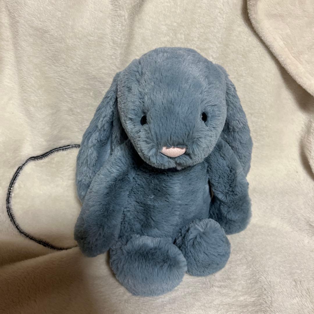  Bashful Dusky Blue ・Viola