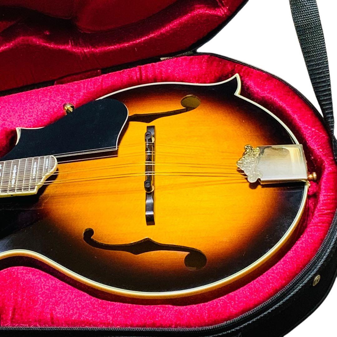 未使用級‼️Blantonマンドリン サンバースBM-30F純正セミハードケース