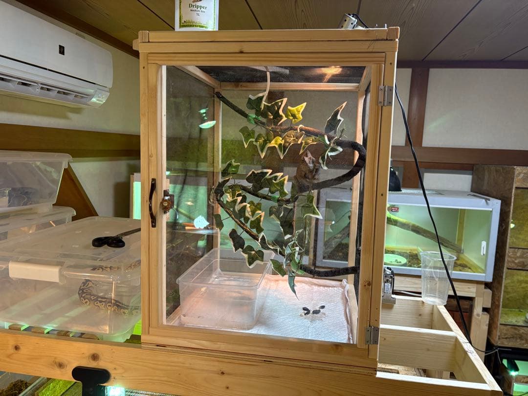 爬虫類ケージ 60×40×40 メッシュ アクリル扉 カメレオン ケージ ペット