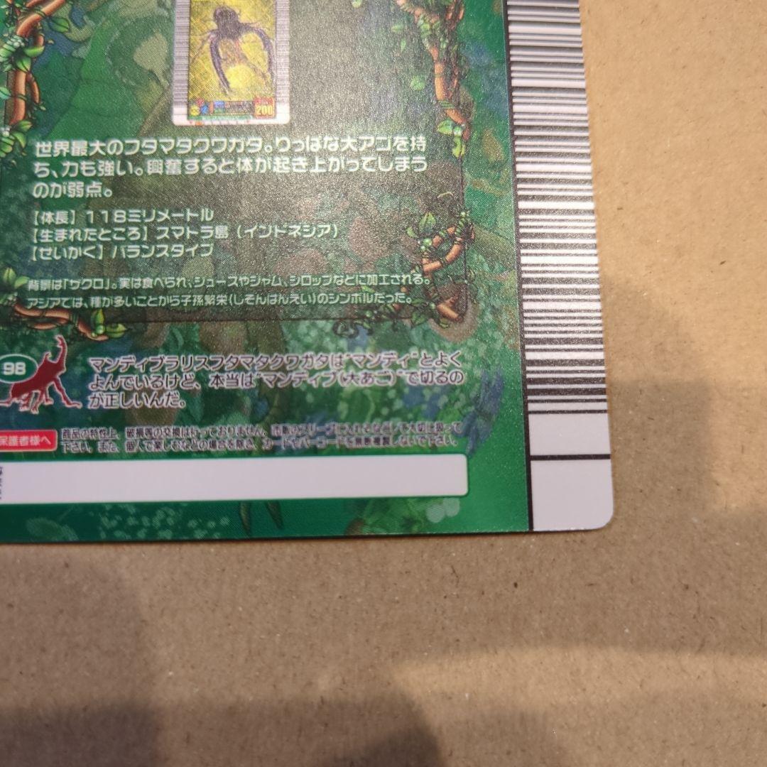 ムシキング！マンディブラリスフタマタクワガタ　5周年