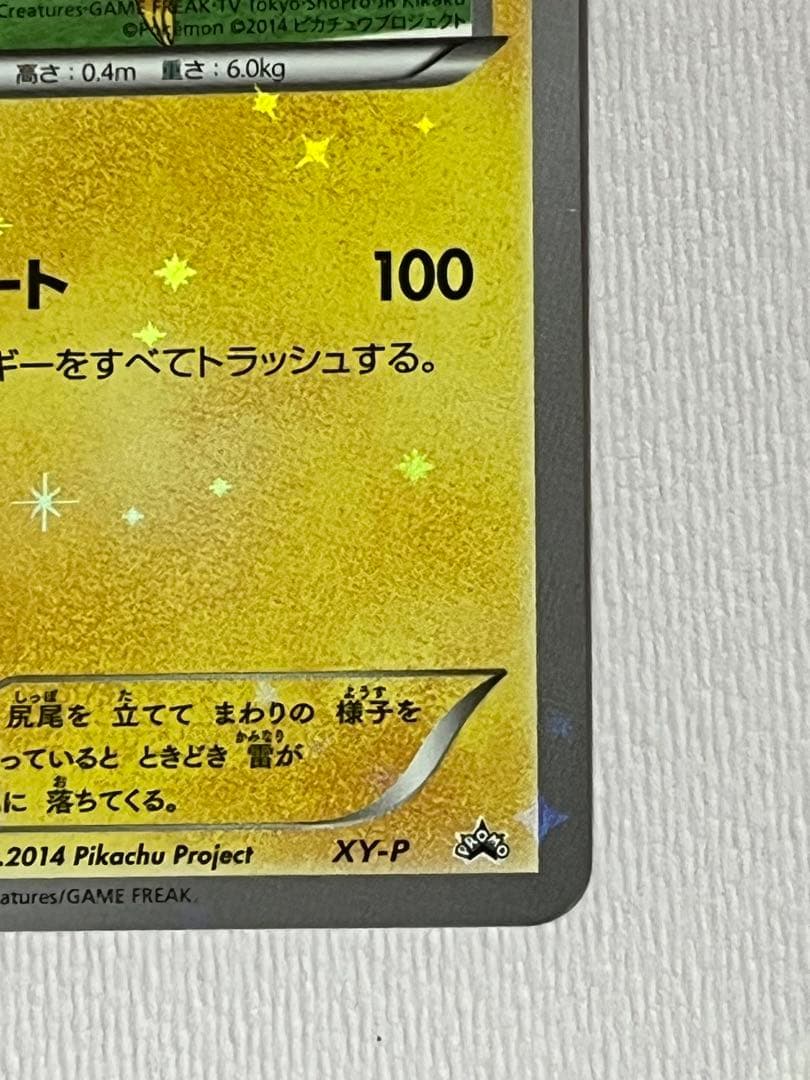 XY-P ピッチのピカチュウ_Jリーグ「ファミリー Joinデイズ」 笑顔版