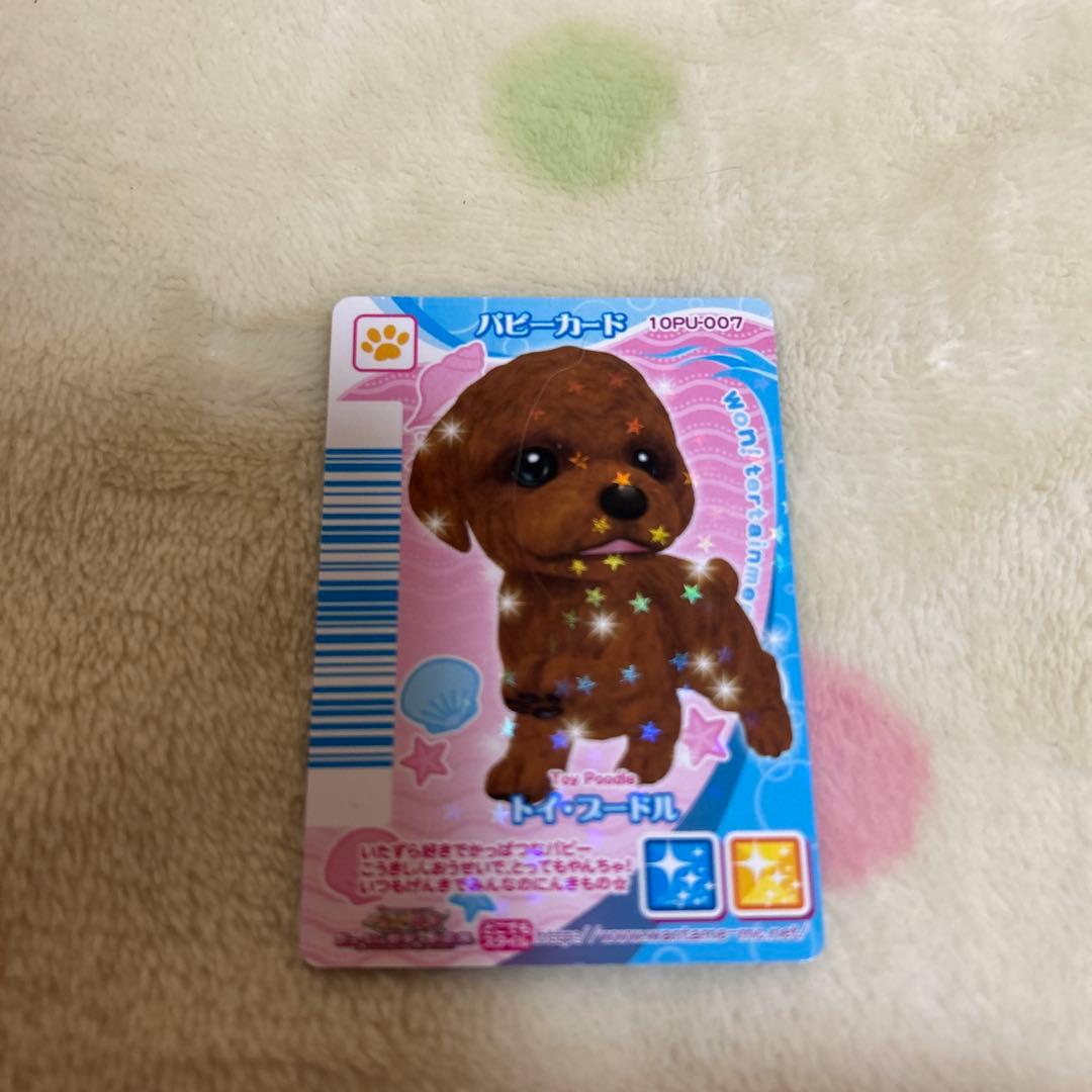 ワンタメ　カード　m＊プロフ必読様確認用