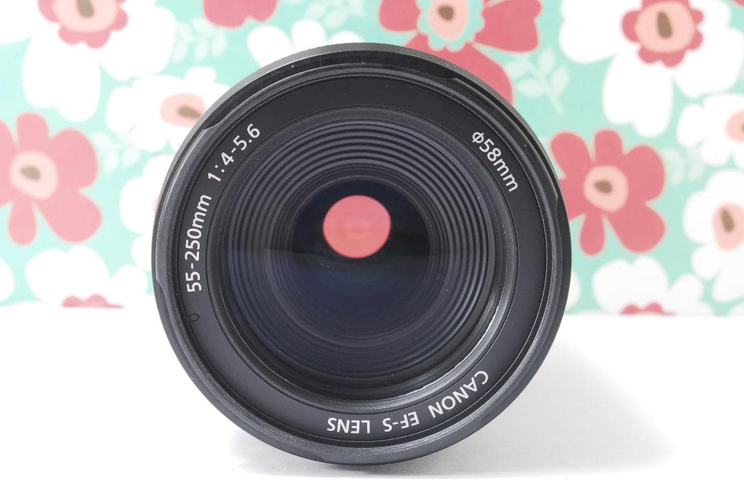 ❤Canon EF-S 55-250mm F4-5.6 IS❤手振れ補正❤望遠❤ - メルカリ