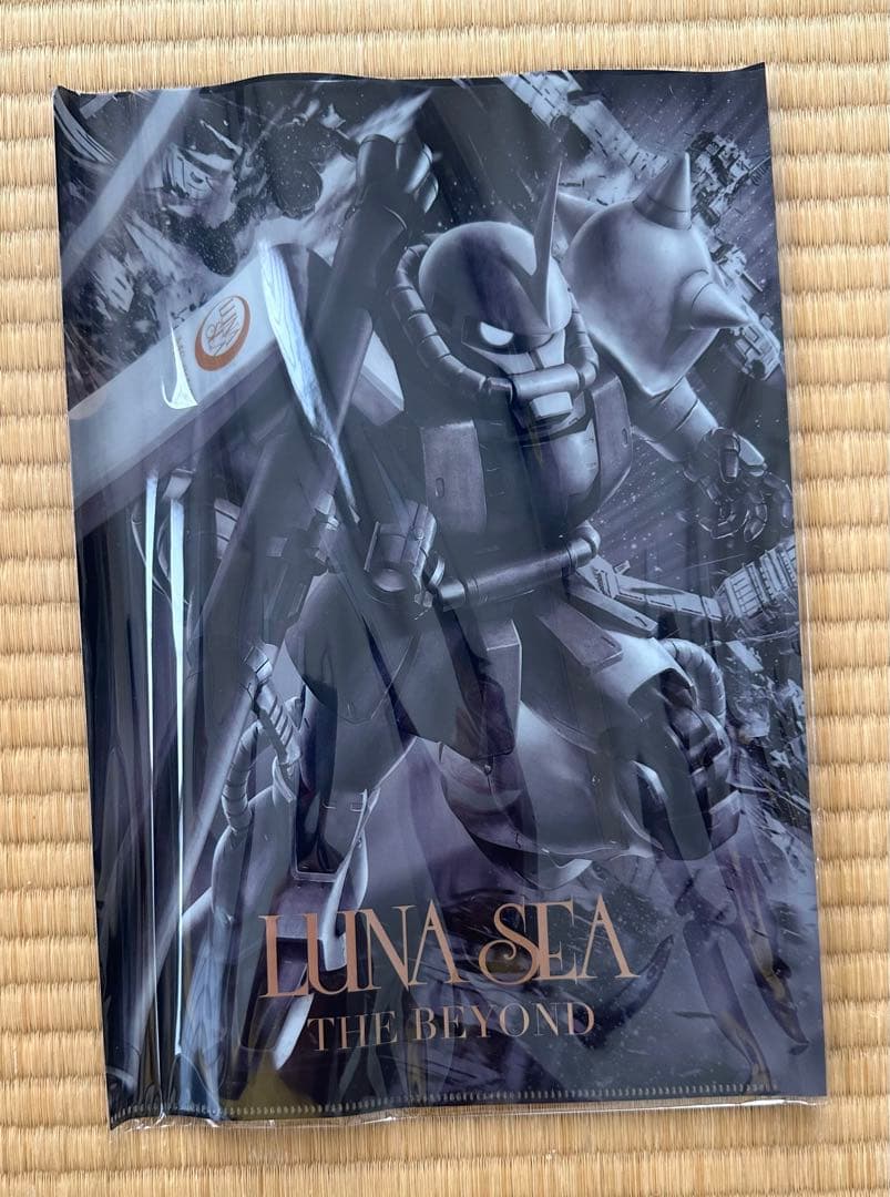 LUNA SEA専用ザクⅡ”オリジナル・ガンプラ：1/100スケールMGモデル