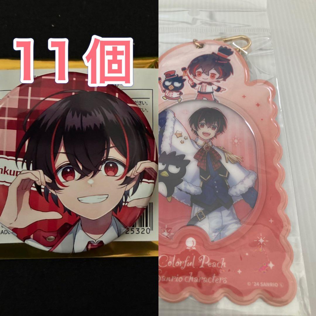 めぐみん様 ゆあんくん パラぴち缶バッジ11個 サンリオコラボカードケース