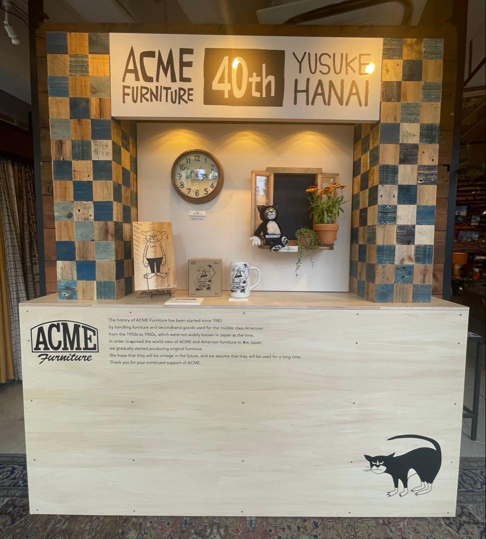 限定品 花井祐介× ACME Furniture コラボ STUFFED CAT - メルカリ