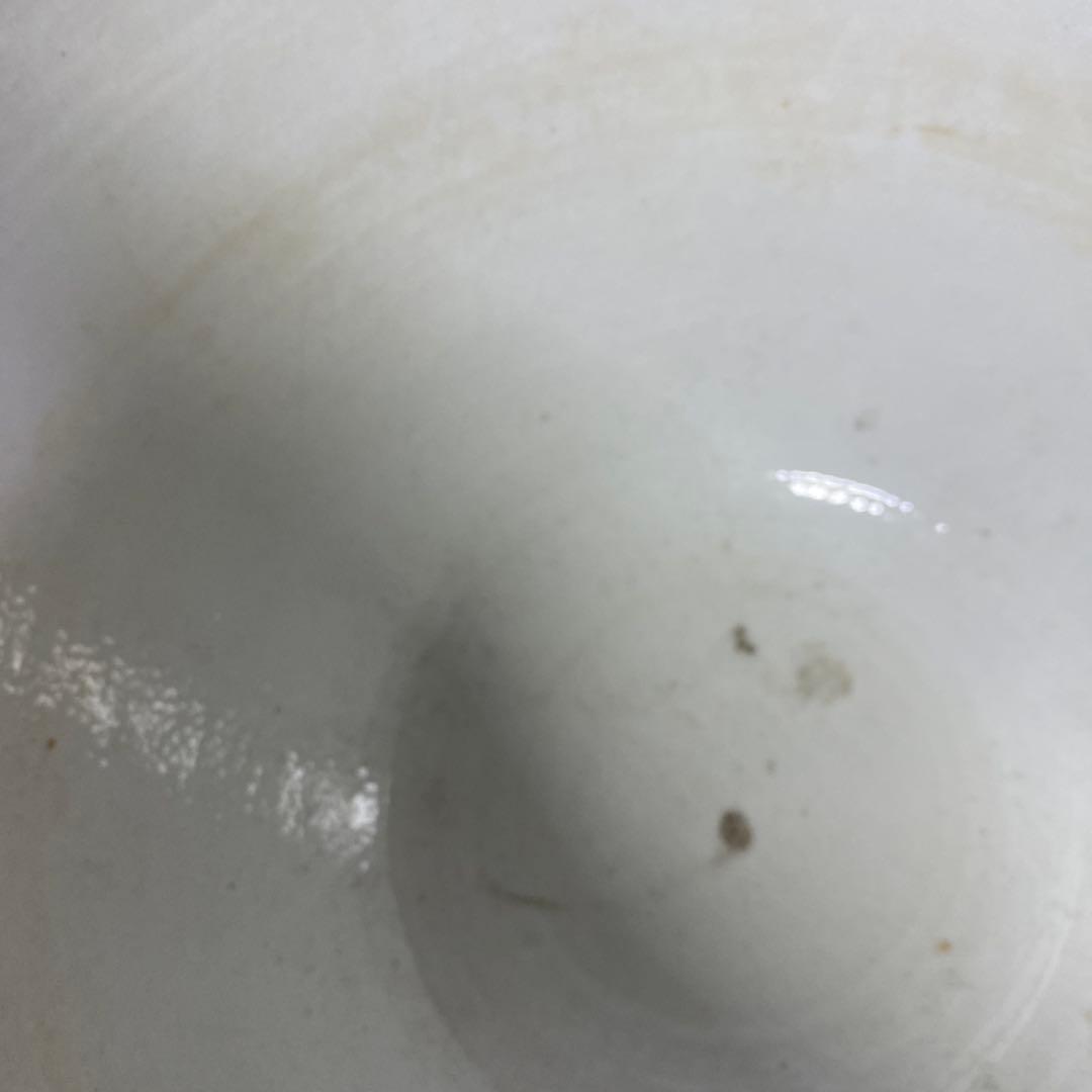 中国古玩　春白菜図水蓮鉢