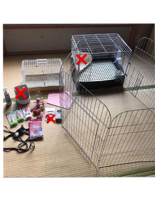 モモンガハウス（ひよ子のパン柄） 冬・春・秋仕様 ラビットボア ポーチ