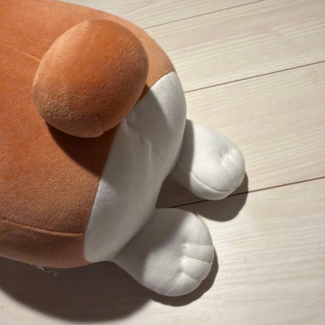 本日限定価格 ヨルシカ 前世2024 suisデザイン コーギー ぬいぐるみ