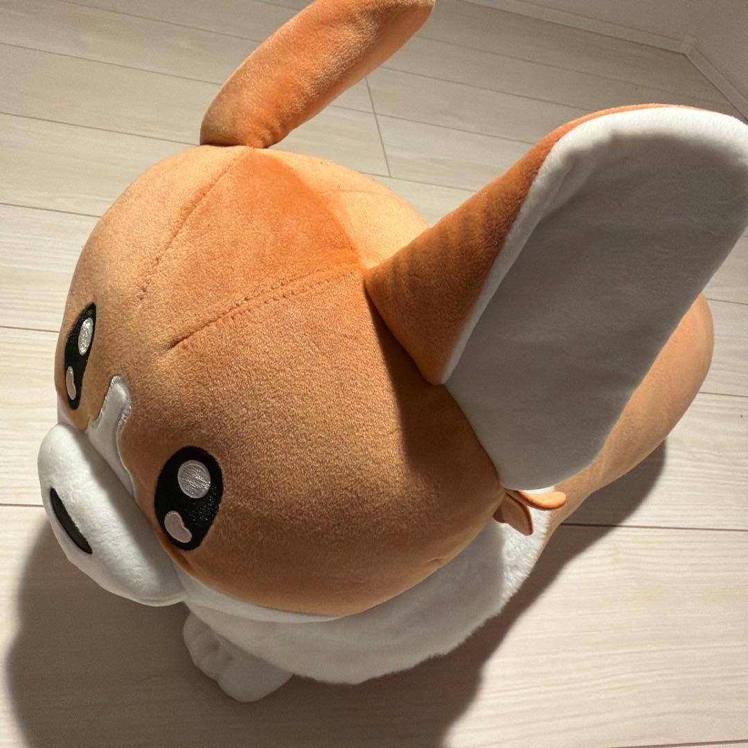 本日限定価格 ヨルシカ 前世2024 suisデザイン コーギー ぬいぐるみ