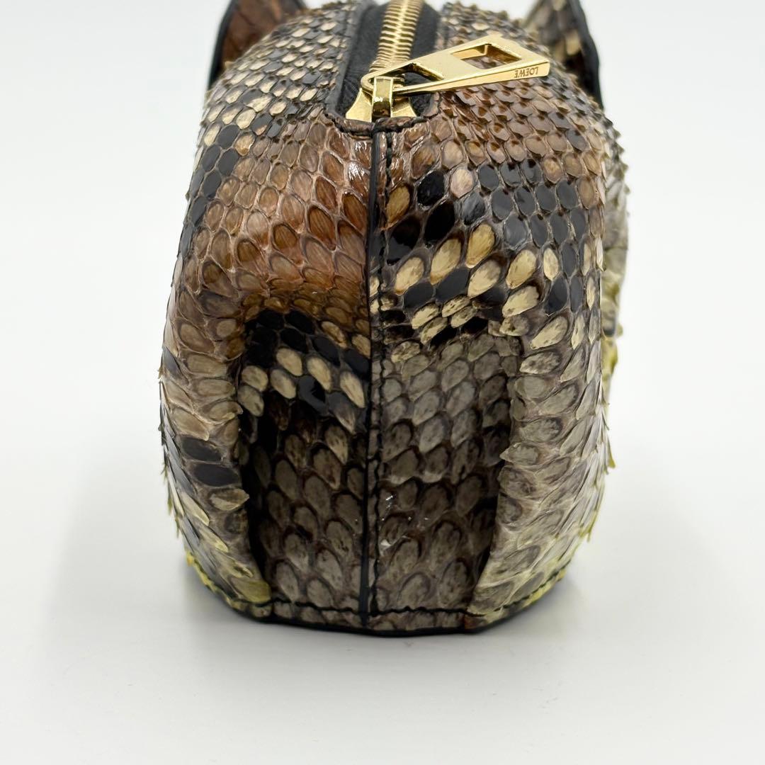 希少✨ロエベ ケース ミニ財布 エレファント ゾウ パイソン