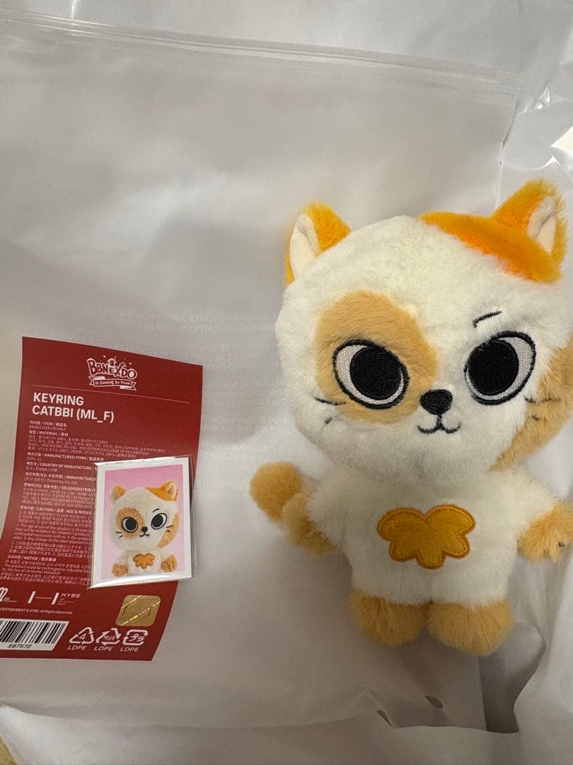 boynextdoor プネクド ボネクド ケッピ CATBBI キーリング - メルカリ