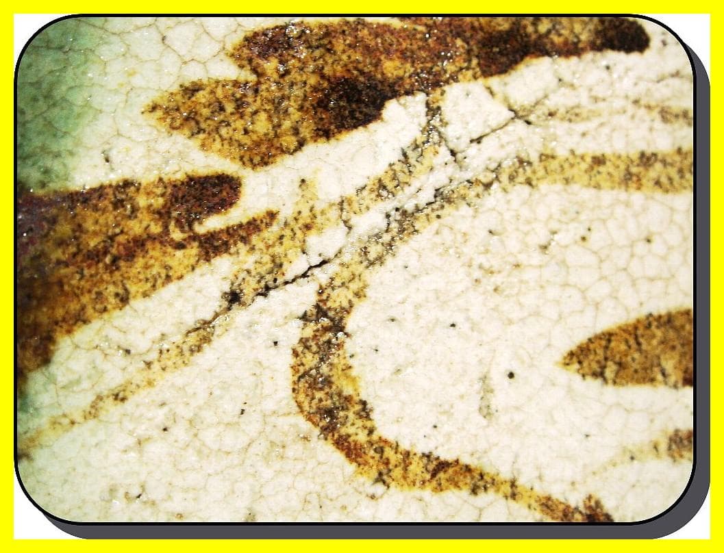 ma507⑦『織部 松 五角鉢』 /骨董品 古美術 古玩 アンティークの通販は