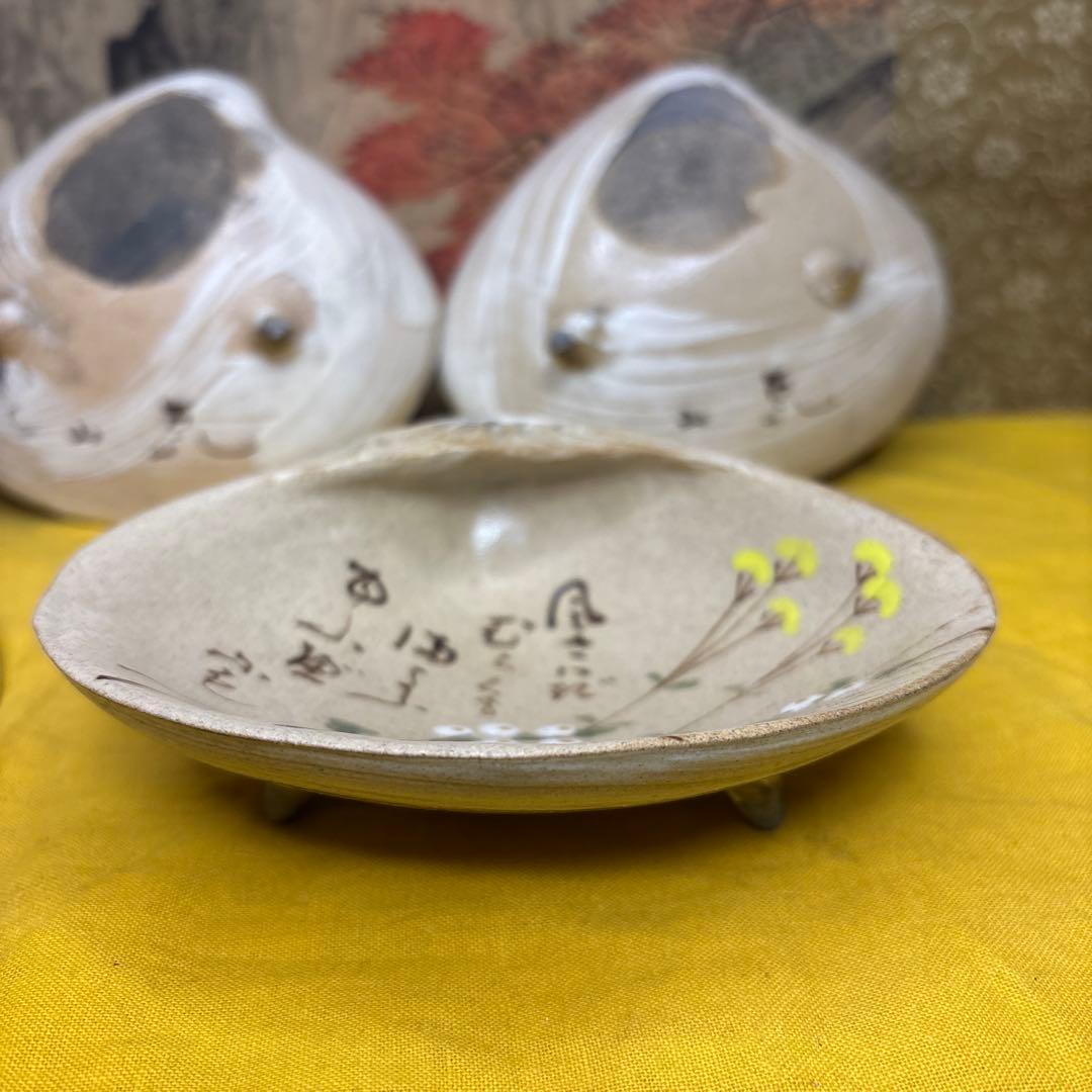 尾形乾山 貝形 皿 箱付 五客 稀少