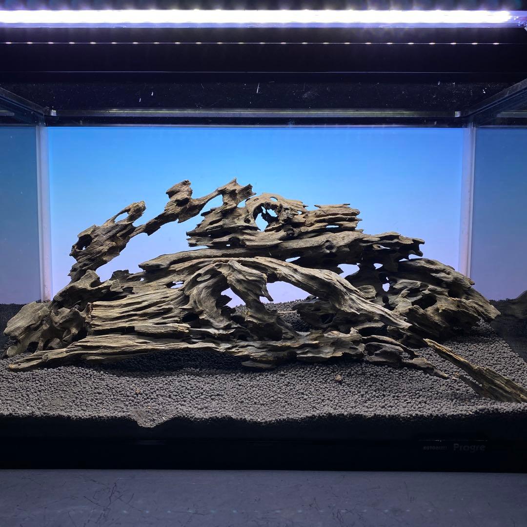 MMW-5439 マシンガンウッドレイアウトセット 60cm水槽用 流木 - メルカリ