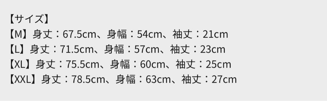 【Oasis Live'25】公式Tシャツ 富士（日本限定品）