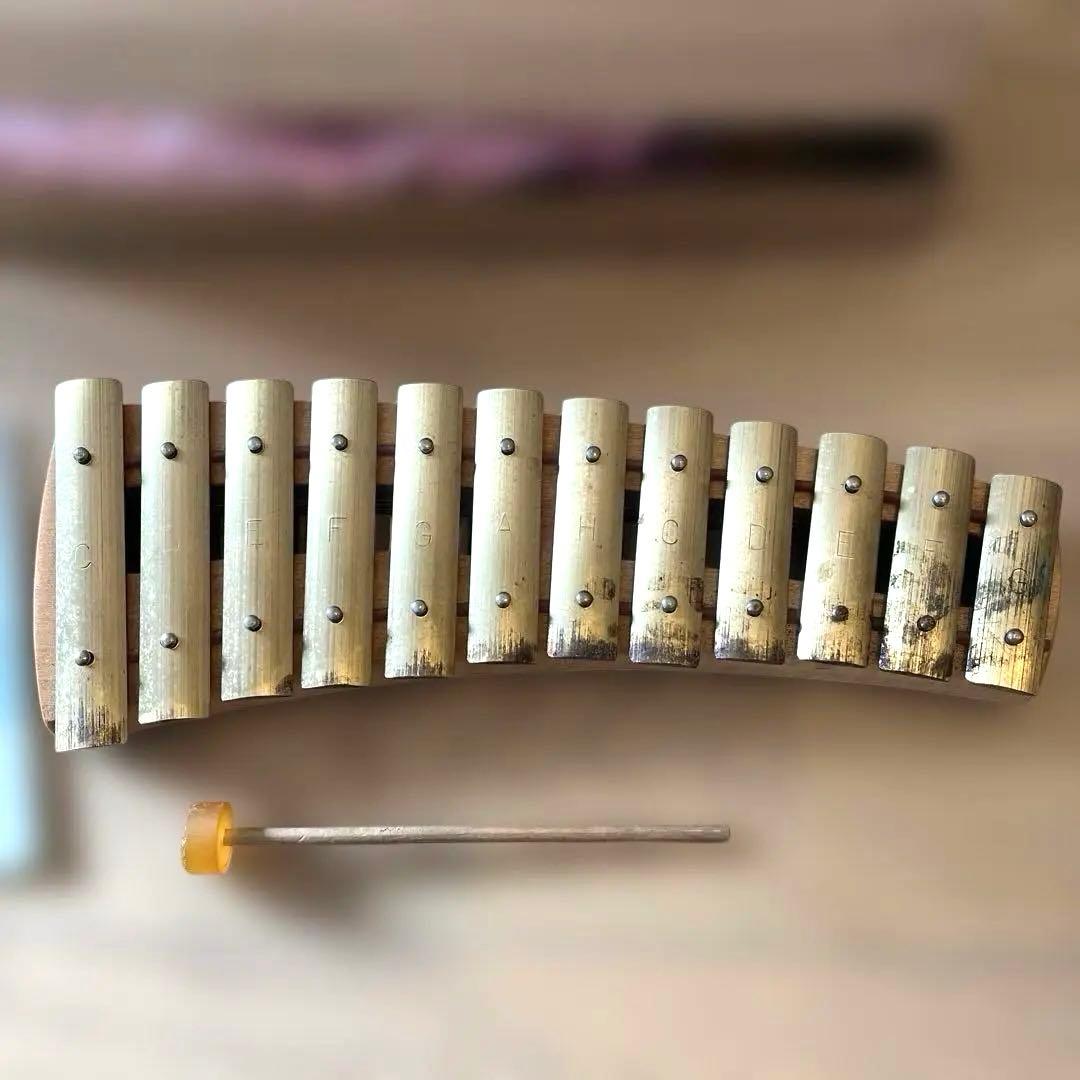 アウリス社 グロッケンシュピールダイヤトニック 鉄琴 12音 109-5