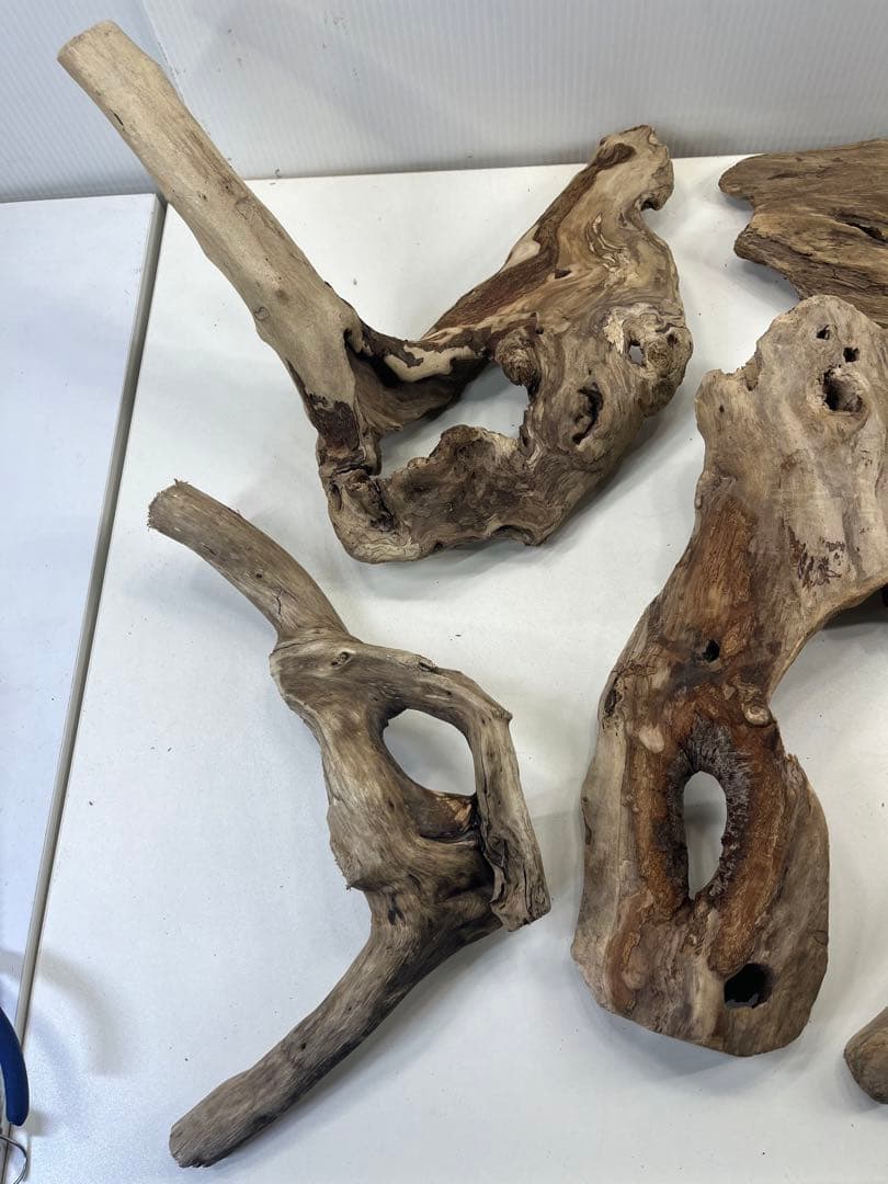 R70アク抜き済み流木 爬虫類シェルター レイアウト用 インテリア エア