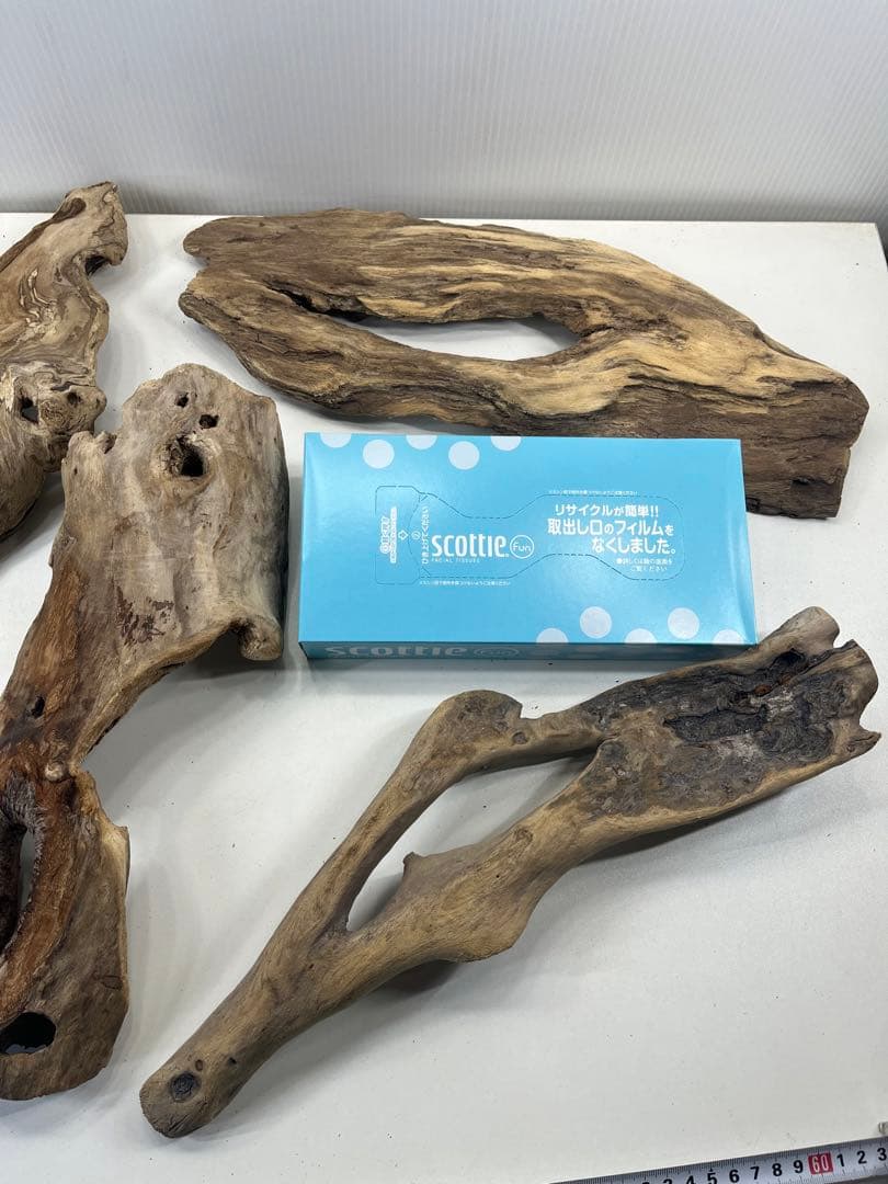 R70アク抜き済み流木 爬虫類シェルター レイアウト用 インテリア エア