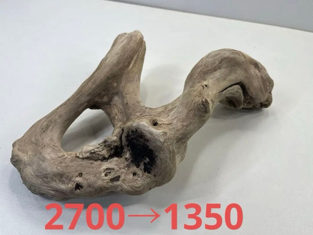 R70アク抜き済み流木 爬虫類シェルター レイアウト用 インテリア エア