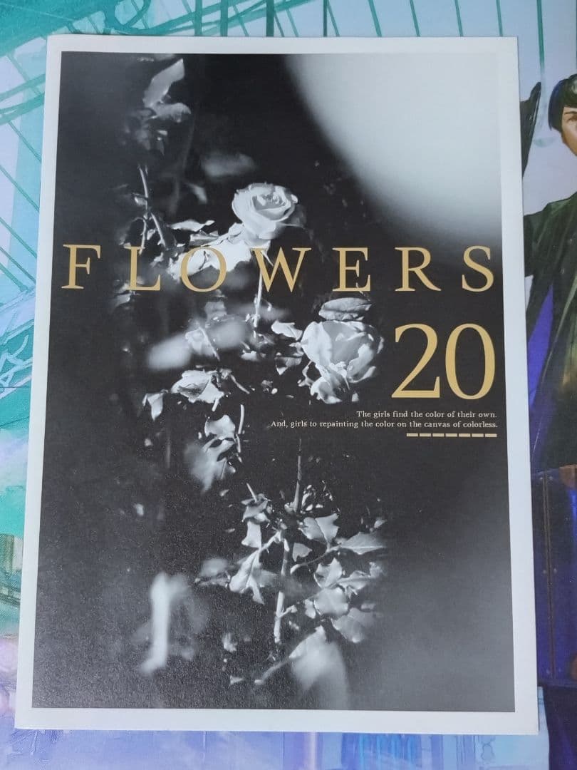 FLOWERS ジークレー Innocent Grey 購入特典 FLOWERS 20 Innocent Grey