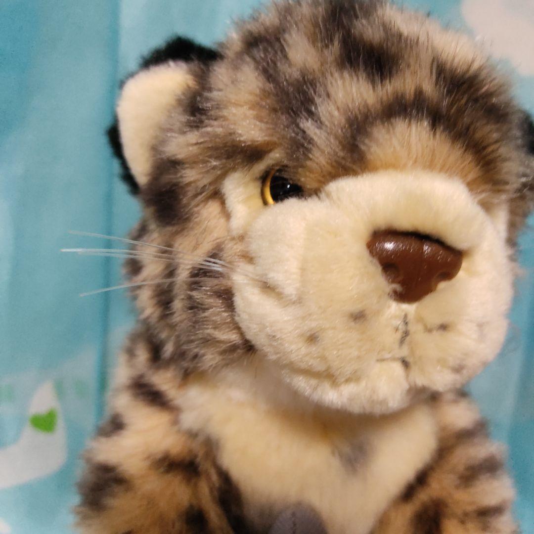 鳥羽水族館　ぬいぐるみ　スナドリネコ　ぬいぐるみ　漁り猫