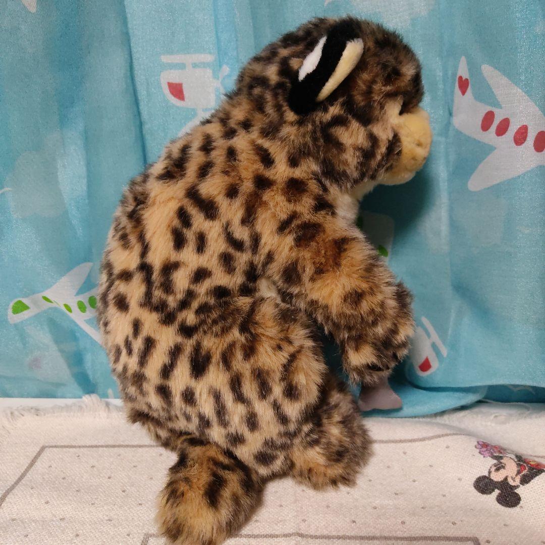 鳥羽水族館　ぬいぐるみ　スナドリネコ　ぬいぐるみ　漁り猫