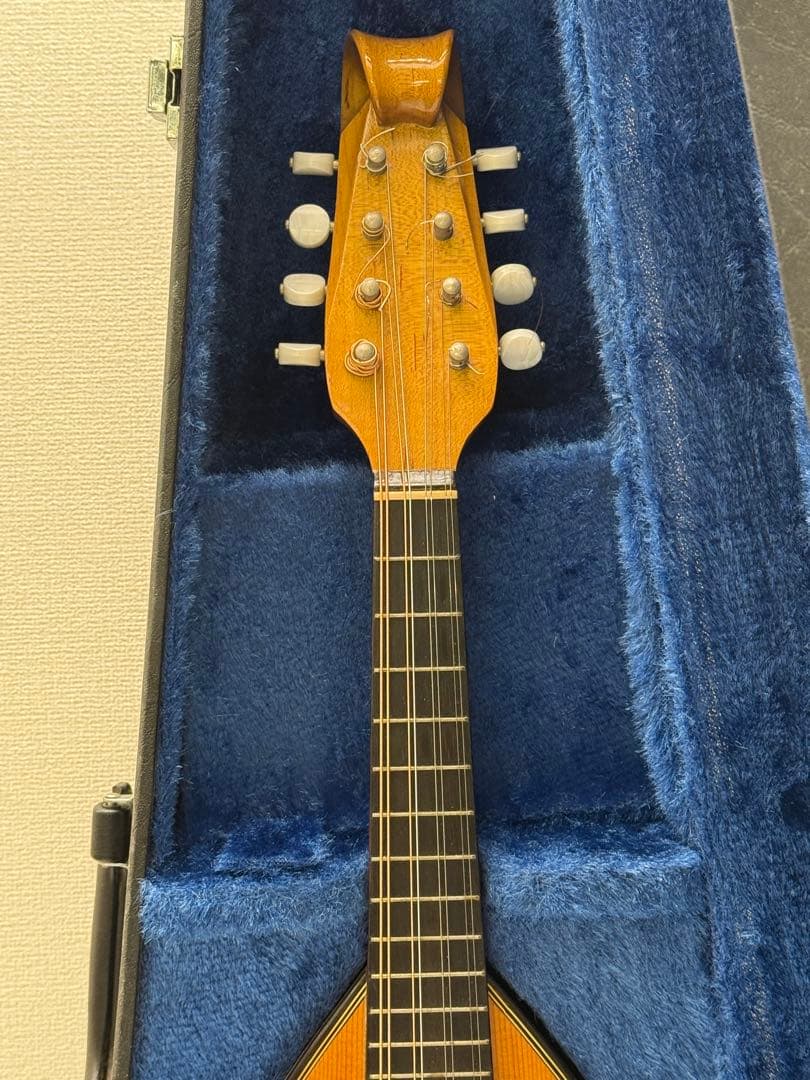 マンドリンSUZUKI M-100 ケースとセット