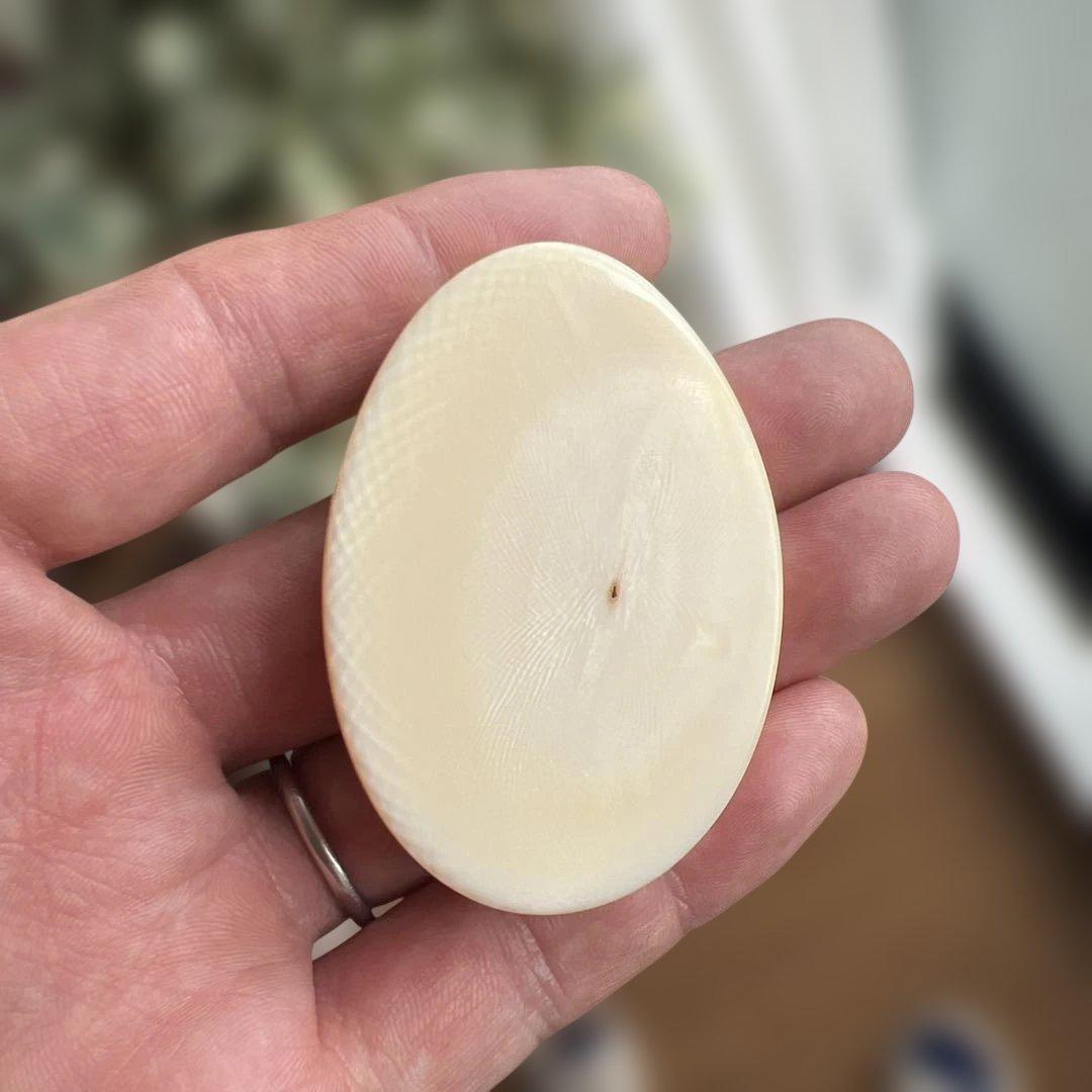 天然素材、鯨の歯風、抹香鯨風、歯類、重さ44g