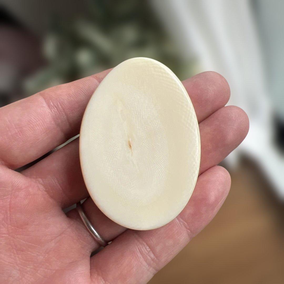 天然素材、鯨の歯風、抹香鯨風、歯類、重さ44g