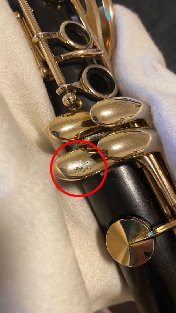 Festival Gold 175周年モデル B♭クラリネット 新品ケース付】 - メルカリ