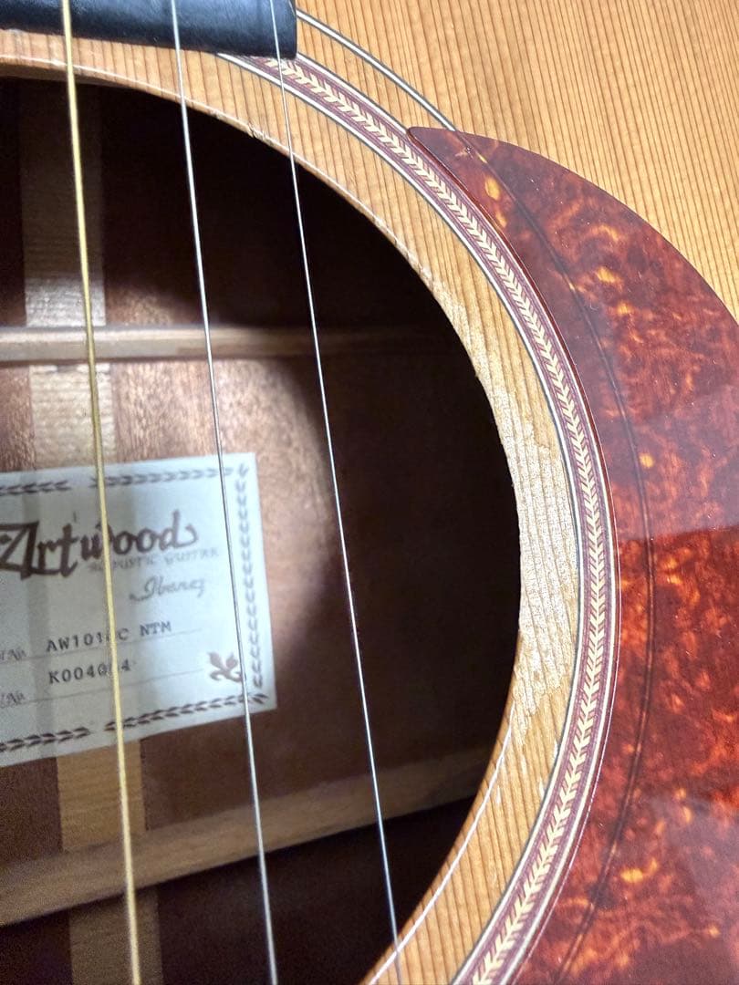 Ibanez Artwood AW1010C