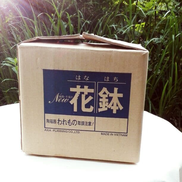 【陶磁器】【手描き】ニュー  花鉢♪ ♪