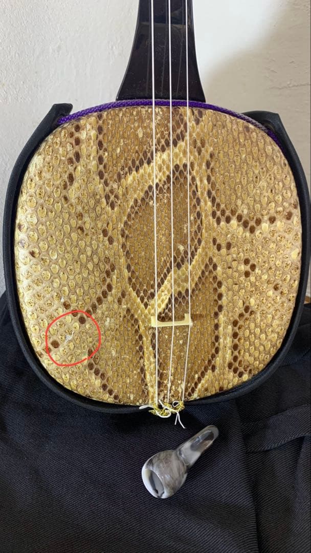 三線 沖縄 両面蛇皮 表側強化二重張り カラクイ1本弦2本