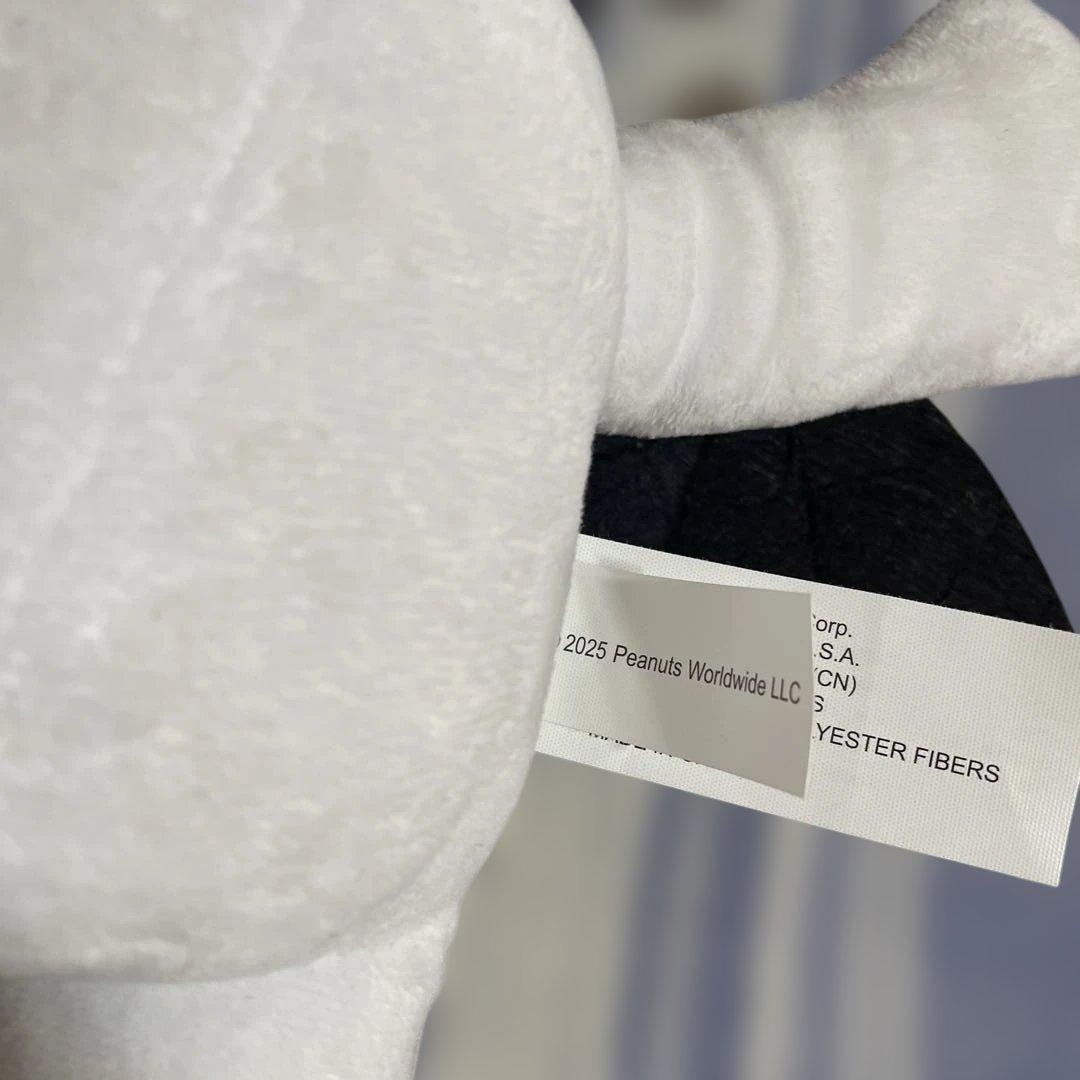 スヌーピー ダンス ハロウィン