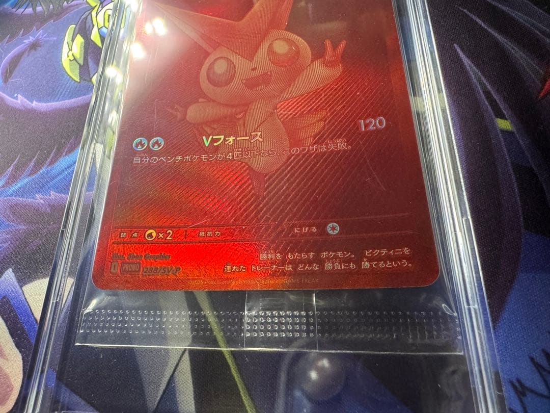 ポケモンカード　ビクティニ　BWR 争奪戦　プロモ PROMO 288/SV-P