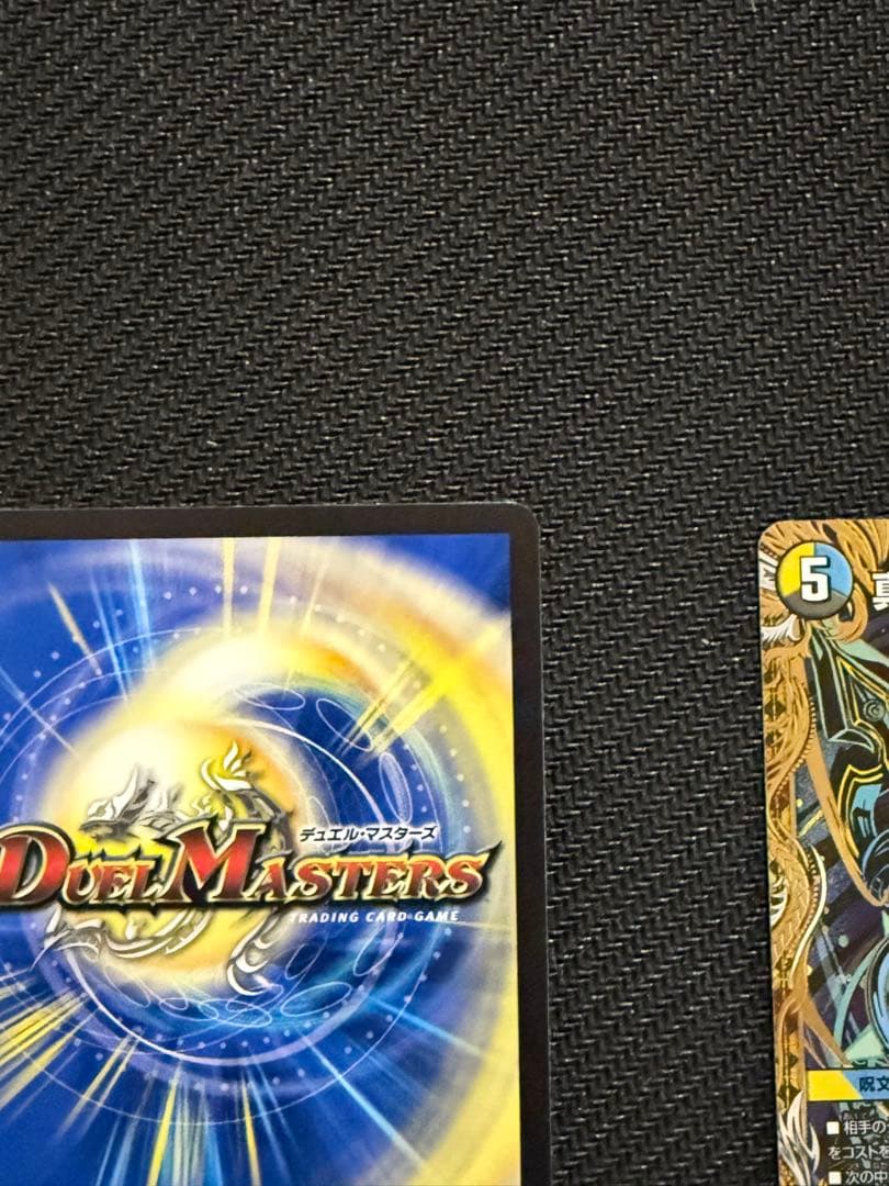 パーフェクトペテンシー　真気楼と誠偽感の決断　シク