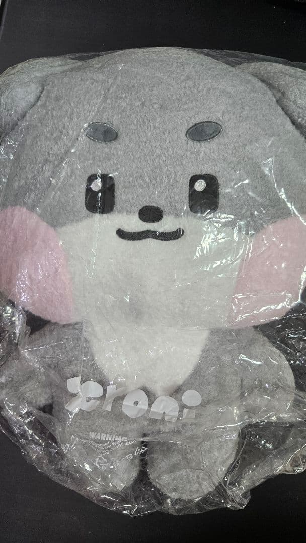 ZEROBASEONE ZERONI フラットぬいぐるみ ゴヌク ゴニニ ZB1 N