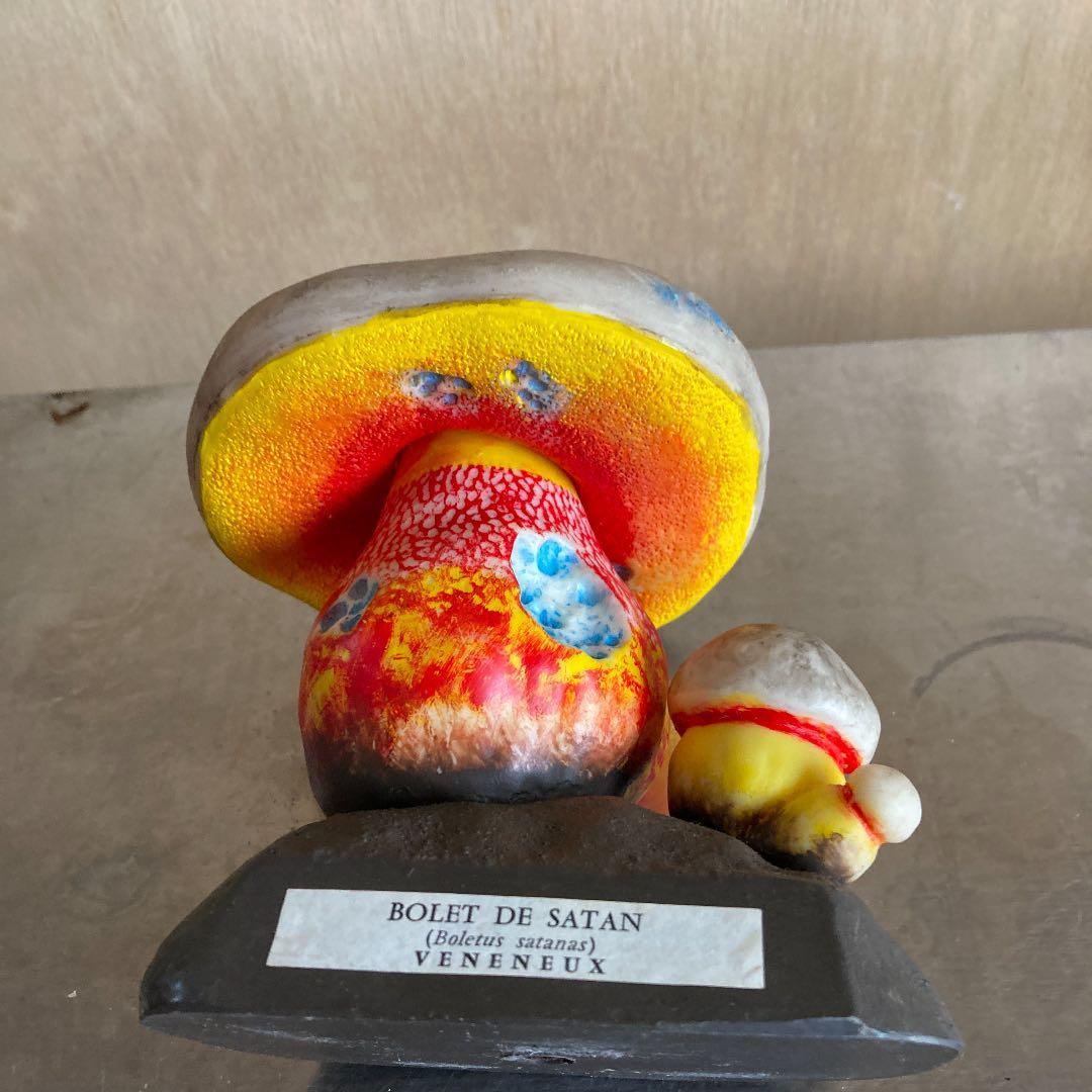 フランス ビンテージ 毒キノコ模型 アンティーク 理科系
