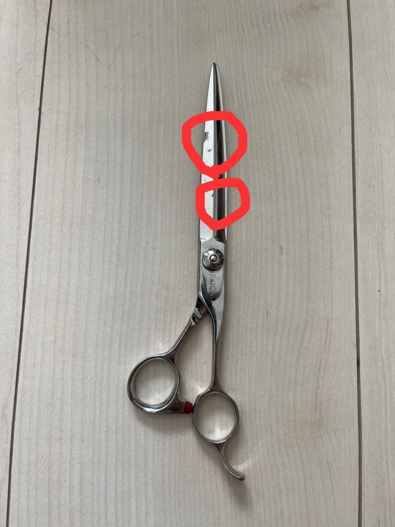 Falco ストレートシザー 7インチ