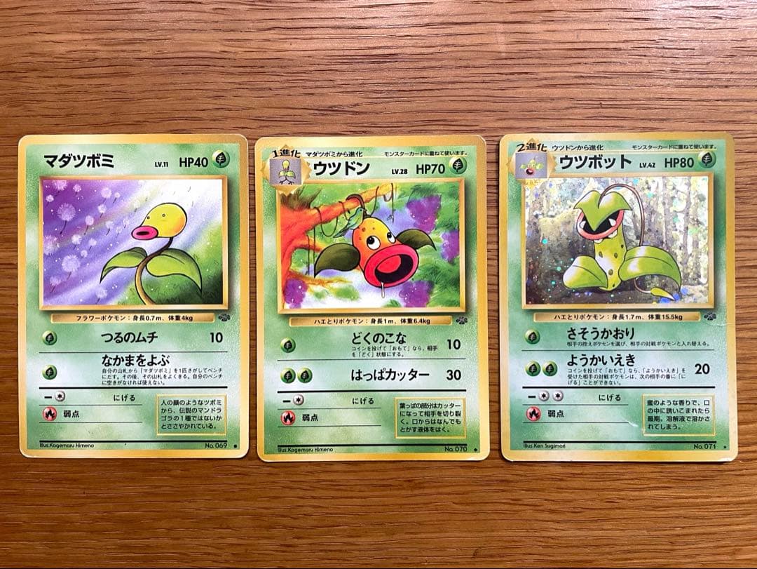 旧裏 ポケモンカード マダツボミ／ウツドン／ウツボット 希少 初期