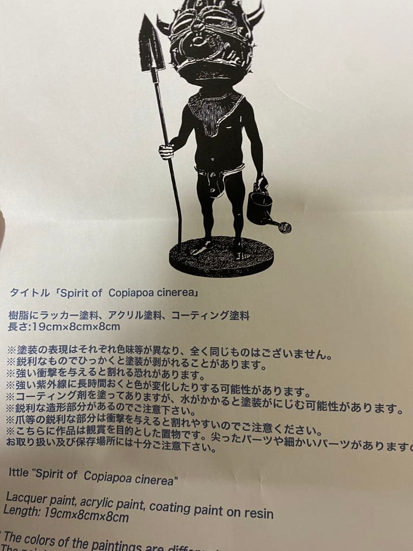 OZWRT Spirit of Copiapoa cinerea オズワート