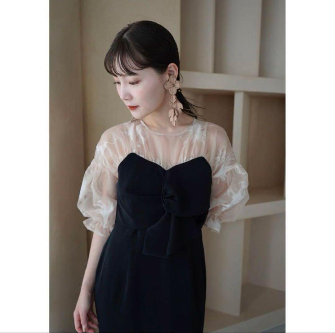 Acka sheer puff dress（black）